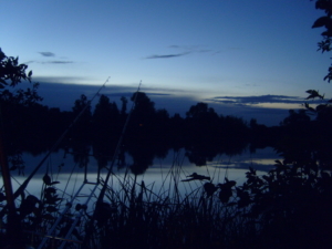 Mückenschutz am Angelsee